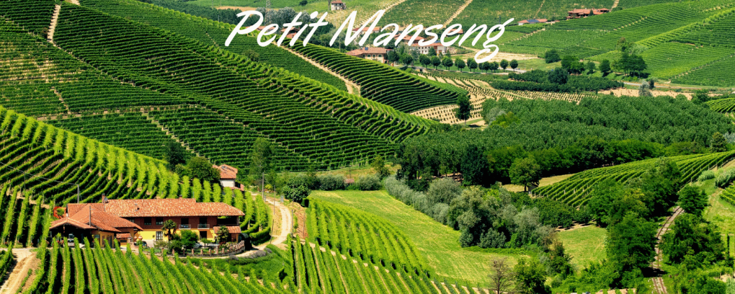 Petit Manseng vino bianco in vendita - Bevendoonline