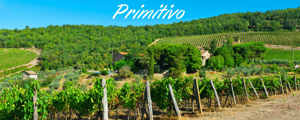 Primitivo vino rosso in vendita - Bevendoonline