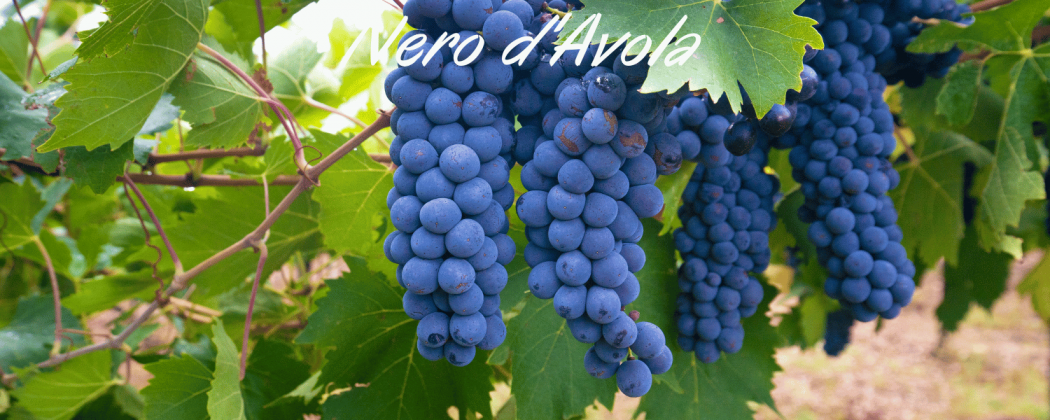 Nero d'Avola vino rosso in vendita - Bevendoonline
