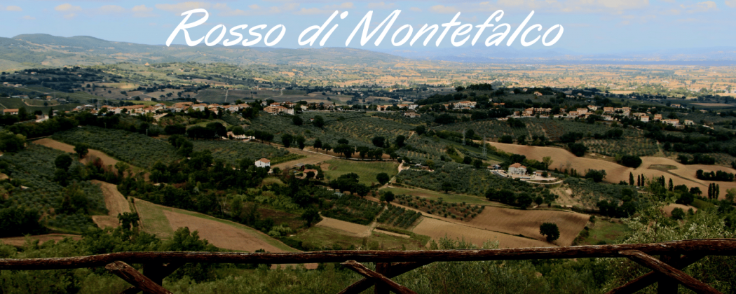 Rosso di Montefalco in vendita - Bevendoonline
