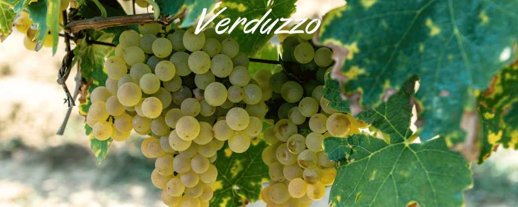 Verduzzo vino bianco in vendita - Bevendoonline