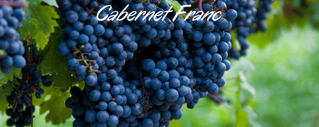 Cabernet Franc vino rosso in vendita - Bevendoonline