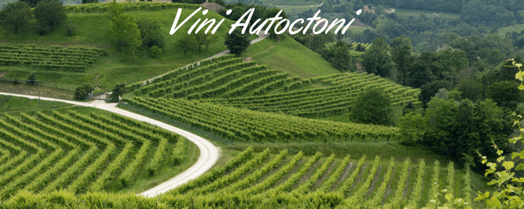 Vini Autoctoni in vendita - Bevendoonline