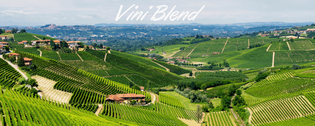 Blend vino in vendita - Bevendoonline