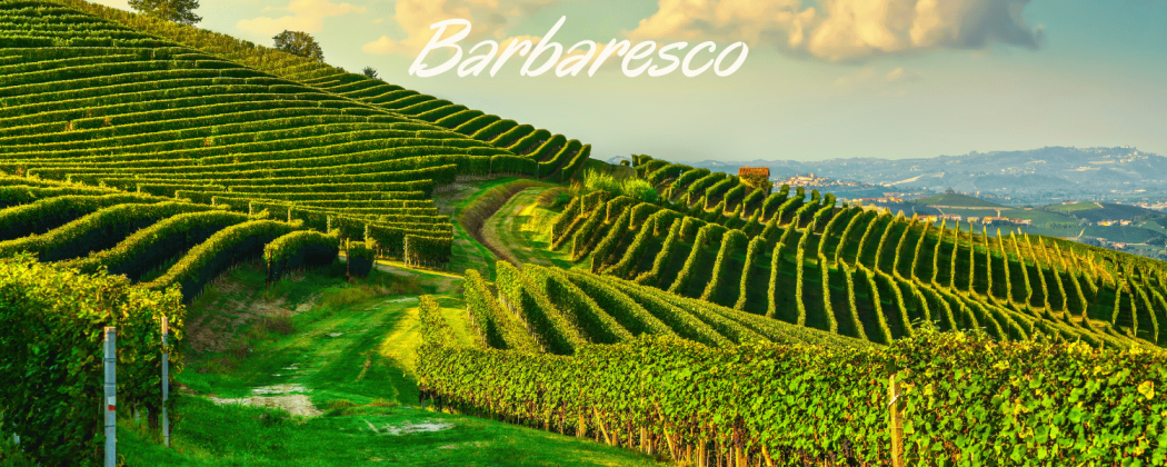 Barbaresco vini rossi in vendita - Bevendoonline